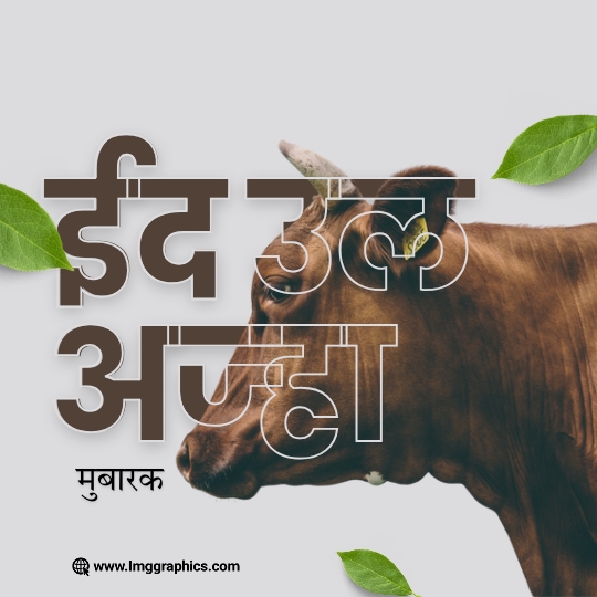 bakra eid mubarak images