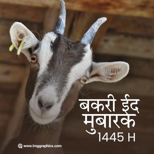 bakra eid mubarak images