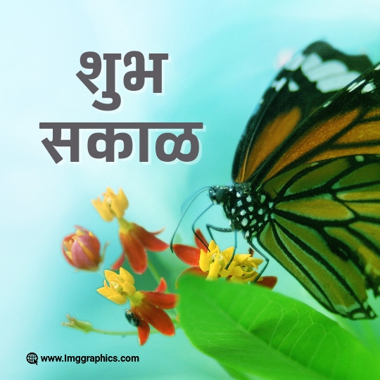 good morning hindi